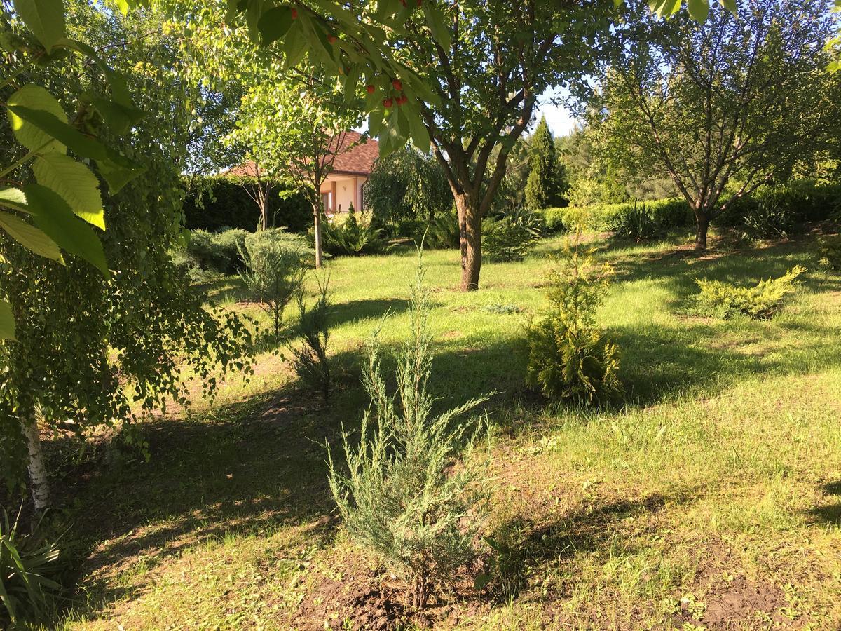 Vesyolaya Rochsha Hotel Kamjanske Buitenkant foto