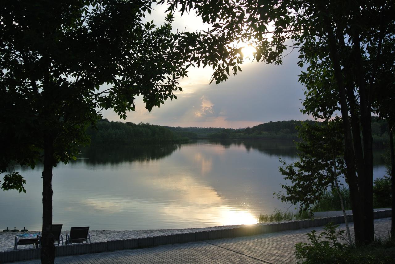 Vesyolaya Rochsha Hotel Kamjanske Buitenkant foto