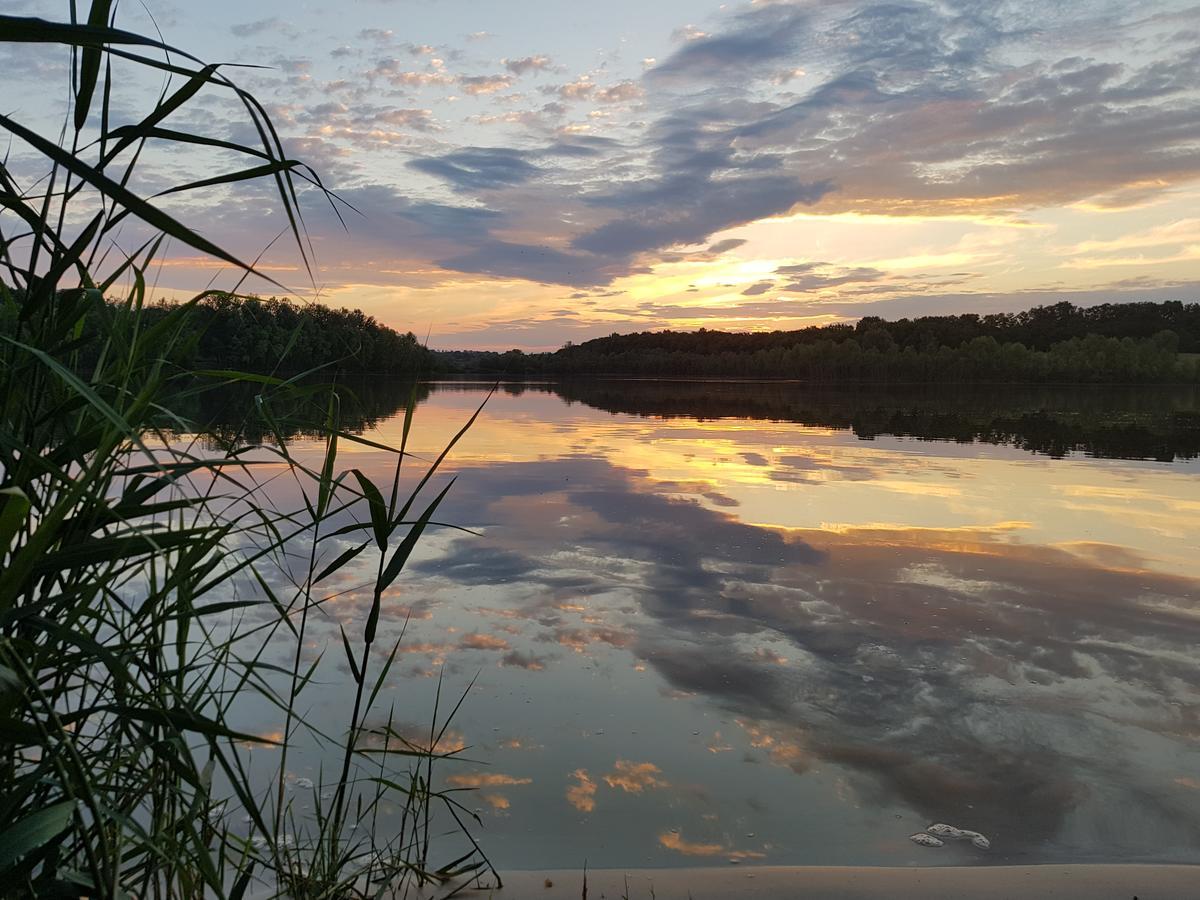 Vesyolaya Rochsha Hotel Kamjanske Buitenkant foto